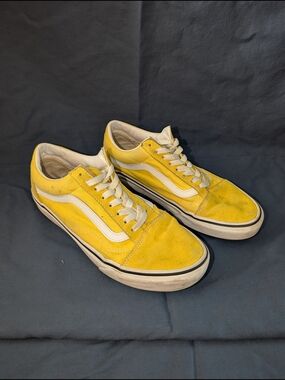 Well Worn Vans